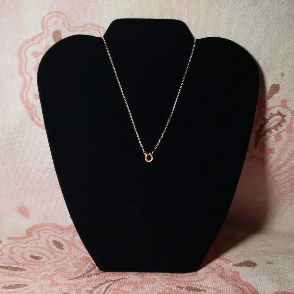 Lucky Horseshoe Necklace Horse Cowgirl Western Country Vaquera Dainty Minimalist - Picture 3 of 13
